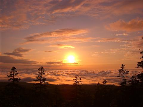 弥陀ヶ原から見た雲海と夕日(イメージ/自由行動の一例)※1